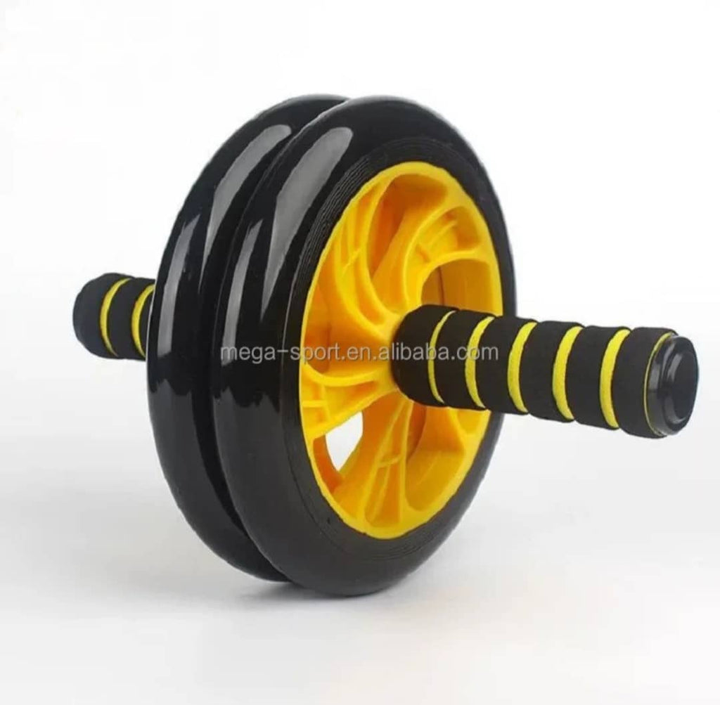 LA ROUE ABDOMINAL PRO